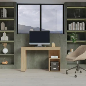 Escritorio Astana, Fresno Europeo